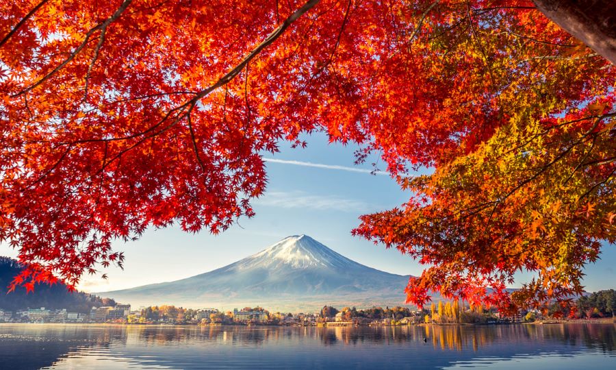 Khung cảnh đẹp đến khó tả tại Núi Phú Sĩ vào mỗi mùa cây thay lá