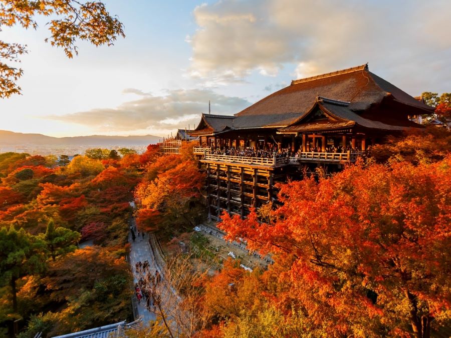 Khách đi tour Nhật Bản mùa thu sẽ chìm đắm trong sắc đỏ nồng nàn của Chùa Thanh Thủy Chùa Kiyomizu - dera