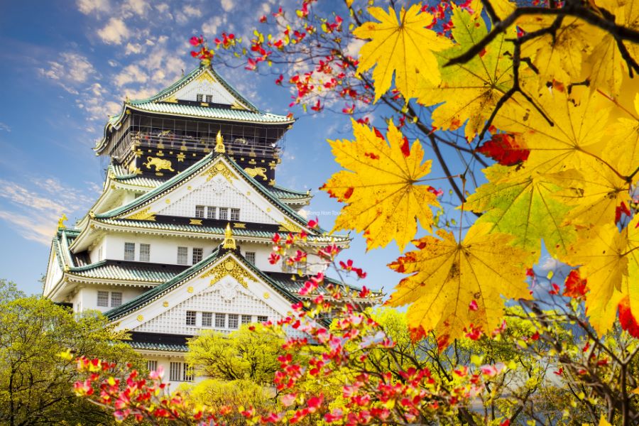 Thành Osaka rực rỡ trong sắc thu Nhật Bản